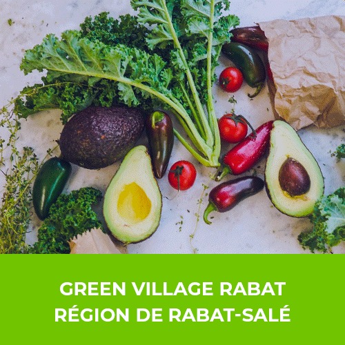 Ecodis Terre de Sommières 400G – Green Village Maroc