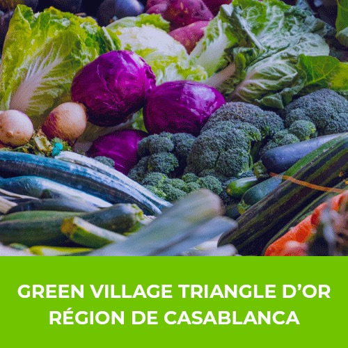 Favrichon Chicorée Instantanée Bio 200G – Green Village Maroc