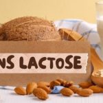 Sans Lactose